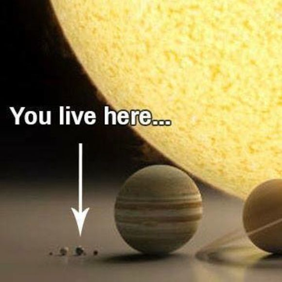 Meet your Posher, Peter - Picture 1 of 1